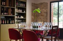 San Gimignano: A Moment of Taste Light lunch & wine tasting
