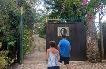 Private Bob Marley Nine Mile Tour with Hotel or Cruise Pickup