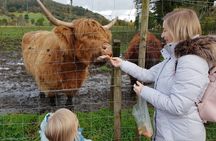 Highlands, Glencoe and Glenfinnan Viaduct Private Tour