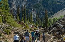 Banff Icons: Moraine Lake, Lake Louise, Gondola, Wildlife, Dinner