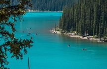 Banff Icons: Moraine Lake, Lake Louise, Gondola, Wildlife, Dinner