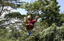 Private Zipline over Dunn's River Falls with Hotel/Cruise Pickup