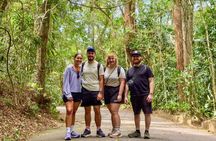 Tijuca Forest: Waterfalls, Caves, Wildlife & Scenic Views