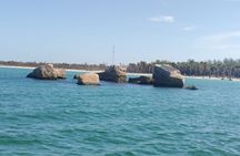 Private Charter Egmont and Passage Key Snorkel and Sandbar Fun