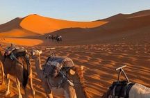3-Day Sahara Desert Tour Marrakech to Merzouga