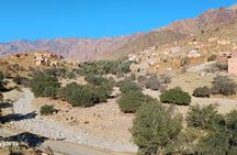 Tafraout Anti Atlas Private Day Trip Check-out from Agadir