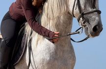 Horse Ride with Souvenir Photos and Videos in Essaouira