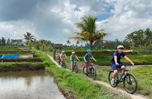 Ubud Wonderful Half Day Downhill Cycling Tour with Lunch