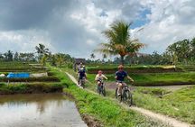 Ubud Wonderful Half Day Downhill Cycling Tour with Lunch