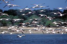 Yala Safari and 15 Day Cultural Heritage Tour Package