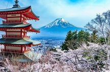 Private Tour In Luxury Vehicle Mt. Fuji and Hakone English Driver