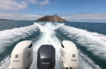 Isla Pinzón - Day Tour - From Santa Cruz - Islas Galápagos