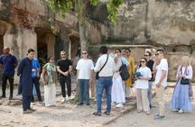 Lahore Private Tour: Fort, Walled City, Badshahi Mosque & Wagah