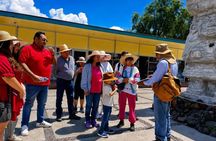 Teotihuacan Pyramids Tour from Mexico City with an Architect