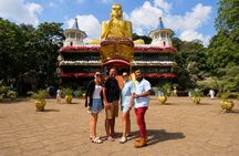 Private Sigiriya and Dambulla Day Tour with Driver Guide