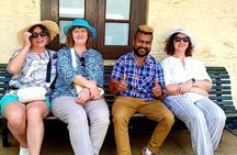 Private Sigiriya and Dambulla Day Tour with Driver Guide