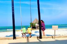 Mnemba snorkeling, Jozani forest, Rock Restaurant & Sunset Beach