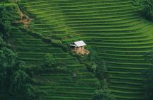 Hanoi: Sa Pa Rice Terrace Trail & Bac Ha Market| Homestay & Hotel