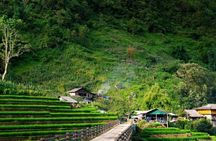 Hanoi: Sa Pa Rice Terrace Trail & Bac Ha Market| Homestay & Hotel