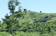 Vietnam War Heritage Tour: Long Tan Cross & Nui Dat Base