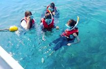 Pattaya Koh Larn Coral Island and Art in Paradise From Bangkok