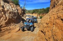 Cabo UTV Off-Road Tour with Mexican Lunch & Tequila Tasting