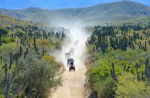 Cabo UTV Off-Road Tour with Mexican Lunch & Tequila Tasting