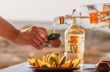 Cabo UTV Off-Road Tour with Mexican Lunch & Tequila Tasting