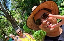Taste Puerto Vallarta Local Food and Taco Tour