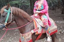 Private Day Tour from Fez to the Middle Atlas