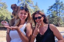 Private Day Tour from Fez to the Middle Atlas