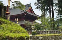 Private Nikko Day Trip from Tokyo UNESCO Sites and Scenic Beauty