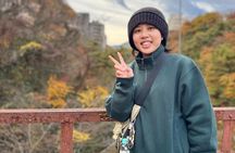 Private Nikko Day Trip from Tokyo UNESCO Sites and Scenic Beauty