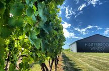 A Delightful Afternoon Wine Tour: 4 Wineries & Charcuterie