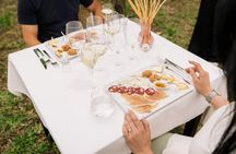 Superior Wine Tasting with Lunch on the slopes of Mt. Vesuvius