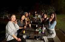 VIP Private Local Tour, festivals, Pachinko, local foods.