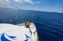 Brijuni All-Inclusive Boat Tour with Lunch, Drinks & Swim Stop