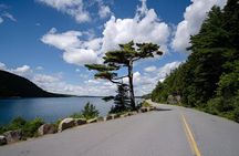 3 Hour with Somes Sound fiord instead of Cadillac
