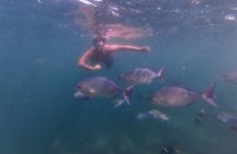 Snorkeling + Waterfall: A Quimixed Adventure