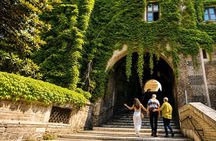 Rome Food Tour: Rione Monti Street Food and Colosseum views