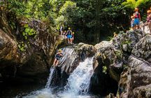 Small Group El Yunque Half Day Tour with Transport: Waterslide