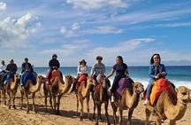 5-Hour Tangier City Tour with Camel Riding