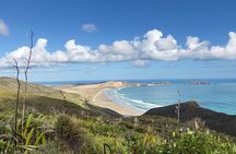 Ka Uri Experience Cape Reinga and Ninety Mile Beach Tour