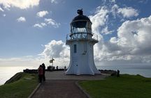 Ka Uri Experience Cape Reinga and Ninety Mile Beach Tour