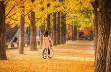 Day Trip to Nami Island with Rail bike and The Garden of Morning Calm