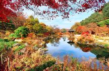 Day Trip to Nami Island with Rail bike and The Garden of Morning Calm