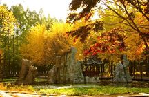 Day Trip to Nami Island with The Garden of Morning Calm