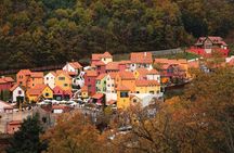 Nami Island and Petite France & Italian Village Day Trip from Seoul