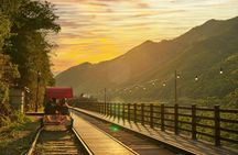Seoul Vicinity 5 in 1: Nami Island, Garden of Morning Calm & More