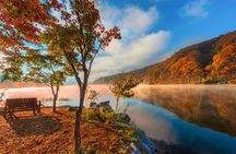 Nami Island Trip with Petite France & Italian Village and Gangchon Rail Bike